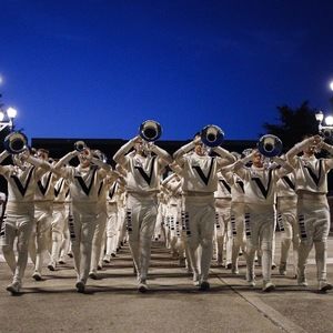 Meet your Posher, Shane